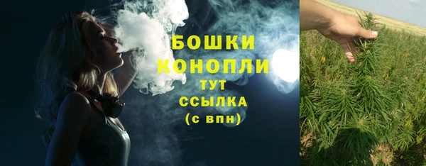 дурь Верхний Тагил